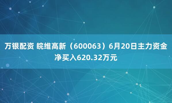 万银配资 皖维高新（600063）6月20日主力资金净买入620.32万元