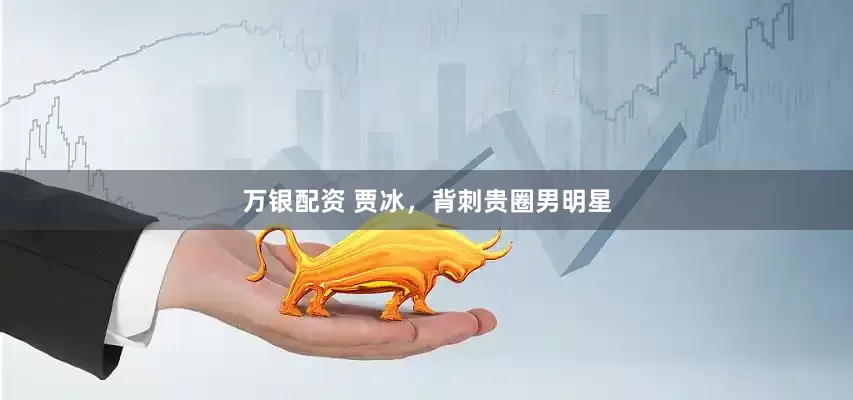 万银配资 贾冰，背刺贵圈男明星