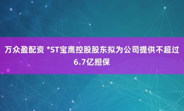 万众盈配资 *ST宝鹰控股股东拟为公司提供不超过6.7亿担保