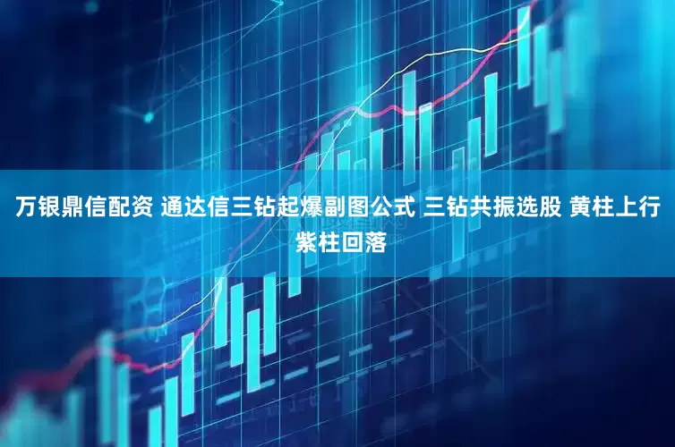 万银鼎信配资 通达信三钻起爆副图公式 三钻共振选股 黄柱上行 紫柱回落