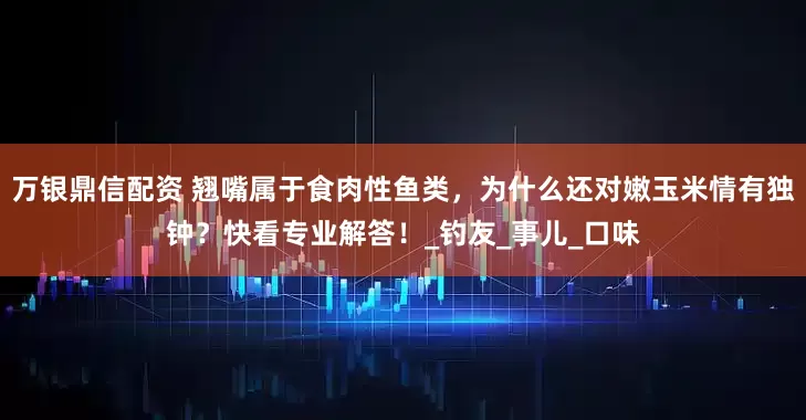 万银鼎信配资 翘嘴属于食肉性鱼类，为什么还对嫩玉米情有独钟？快看专业解答！_钓友_事儿_口味